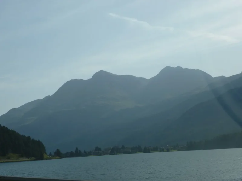 P1000360.webp