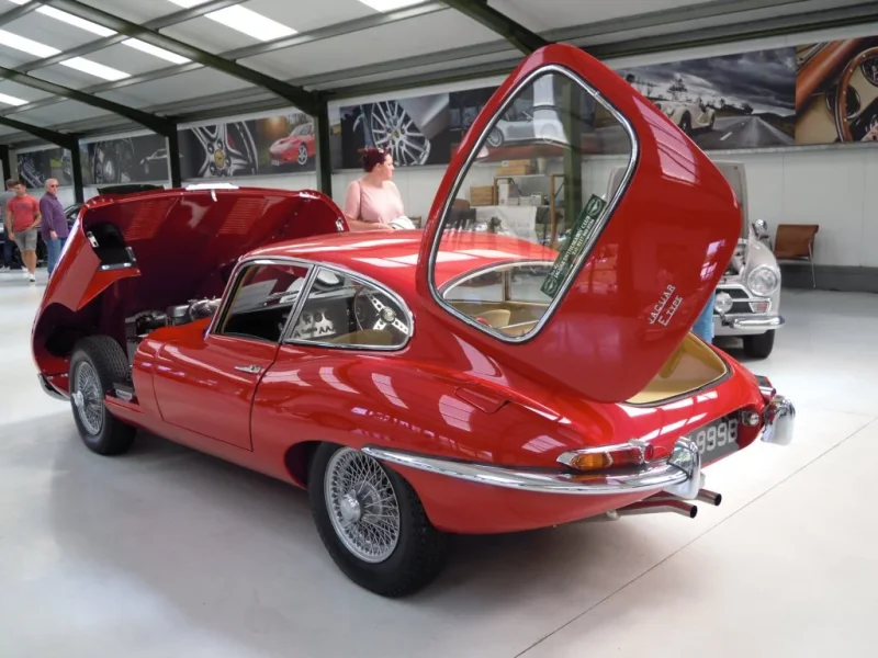 DSCN4756.webp