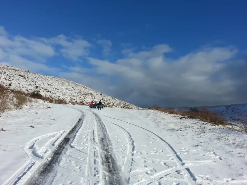 uploadfromtaptalk1422815951303.webp