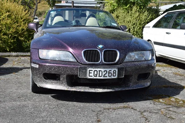 1DSC_0360.webp