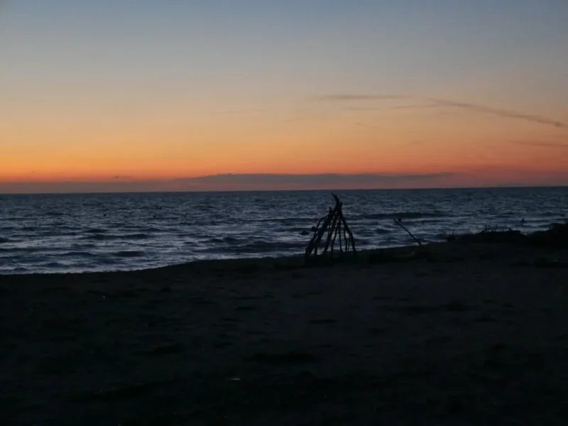 IMG_3187.webp