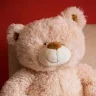 Zorgeee Bear