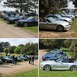 New Forest, 7 May 2017