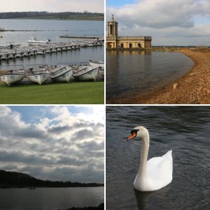 Rutland Water Meet - 20 March 2016