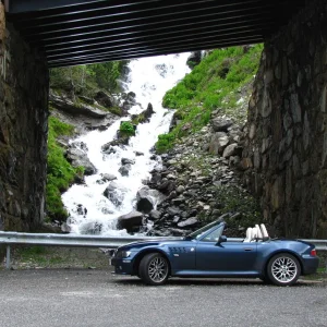 Mint in Andorra
