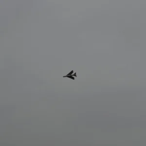 Cold war jets & Zs