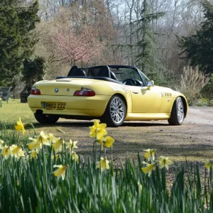 Out with the Daffs!