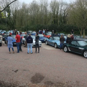 New Forest, 15 April 2018