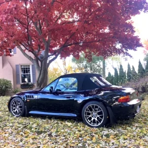 top up fall pic