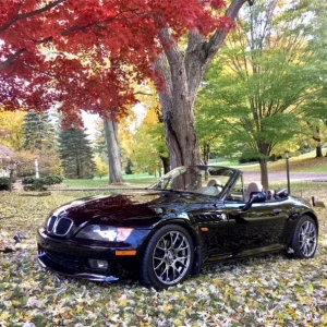 top down fall pic