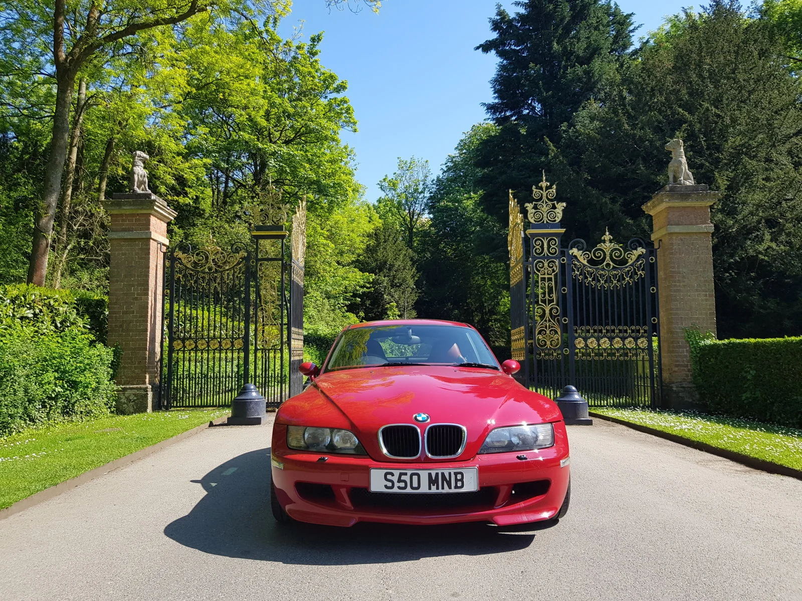 Coupe in the Sun