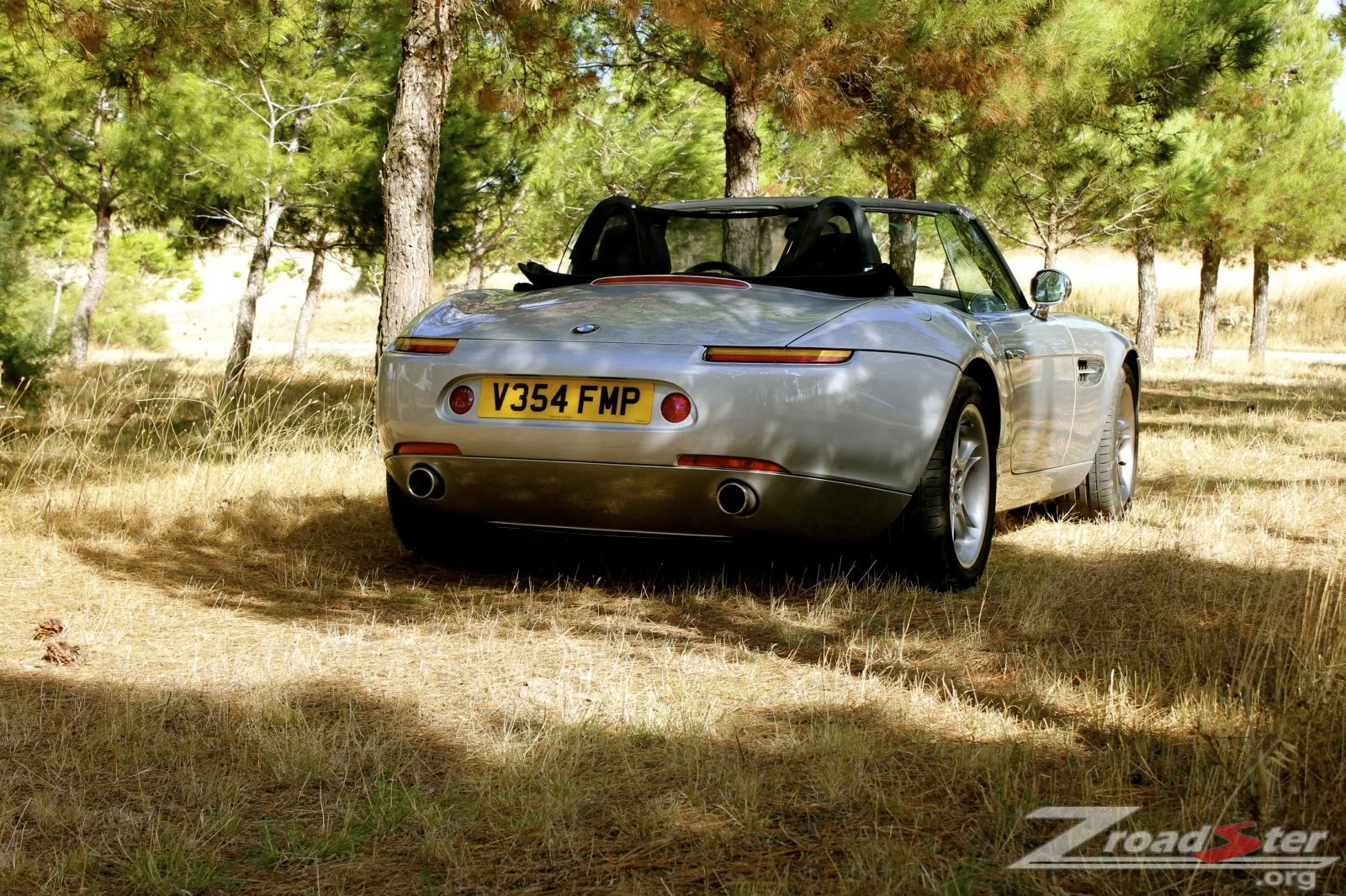 Z8 Wood