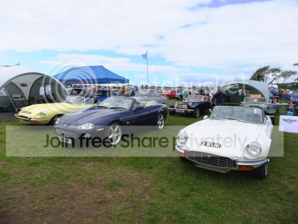 FestivalFields150712011.jpg