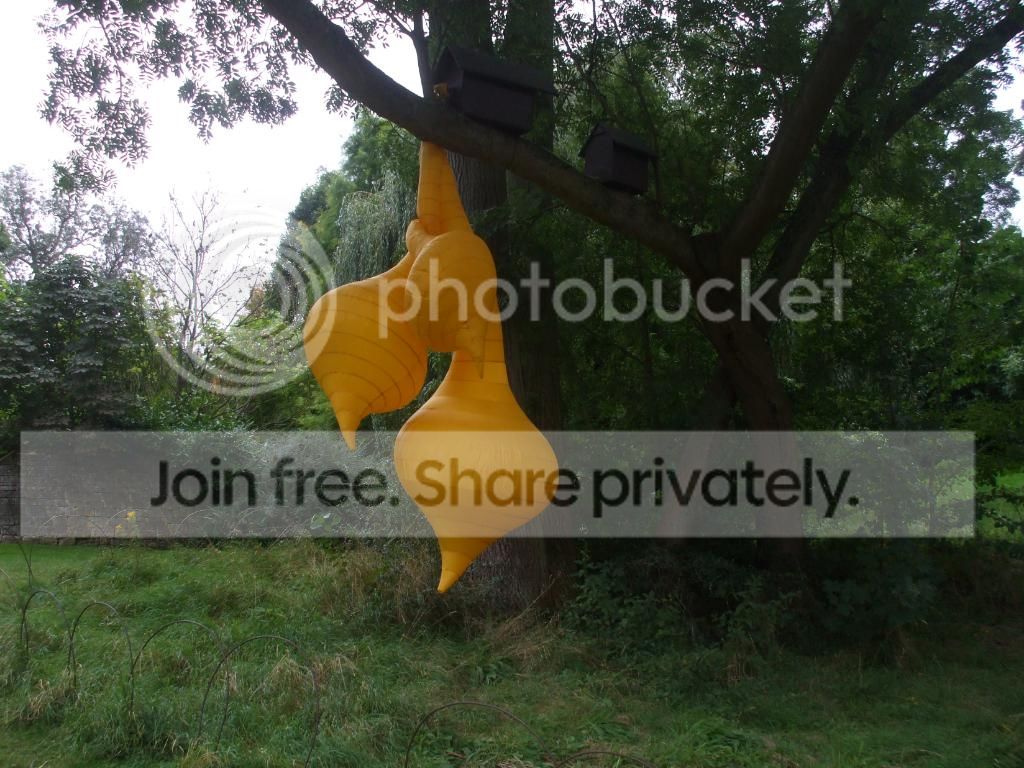 DSCF1636.jpg
