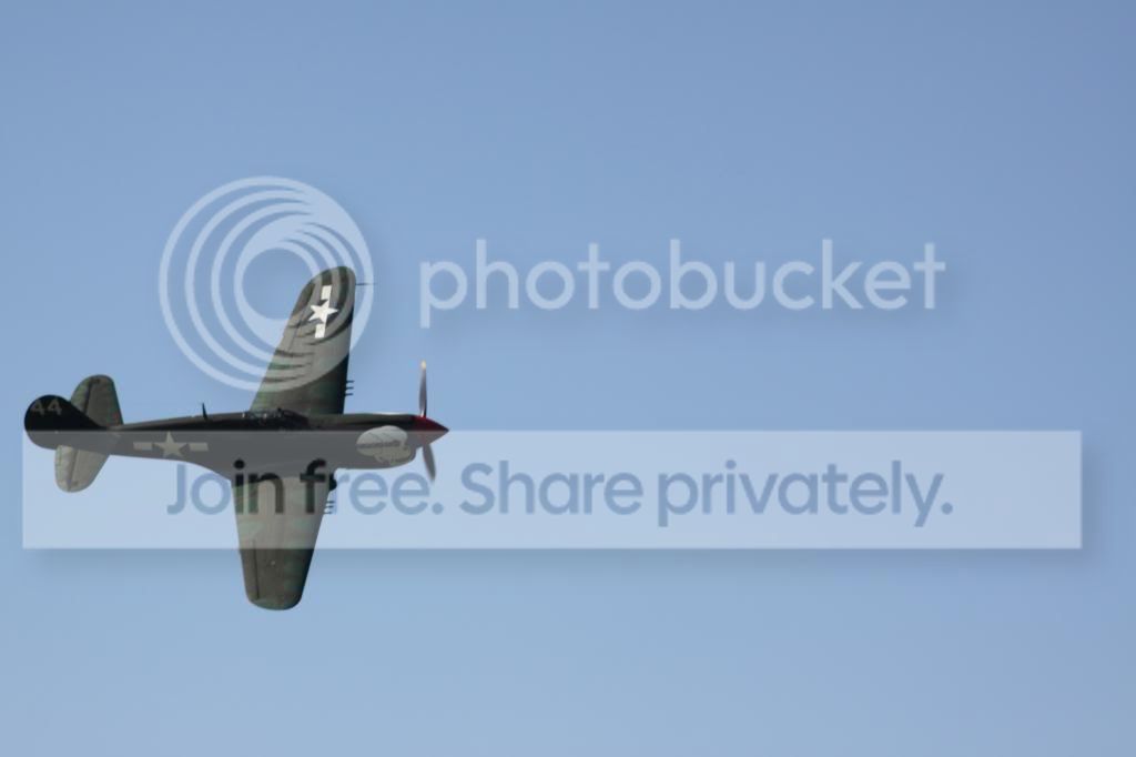 IMG_9416_zps8988f6d9.jpg